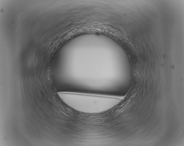 X0000075861490200609150942