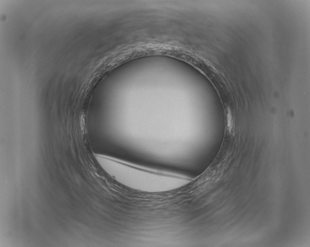 X0000075861492200609150942