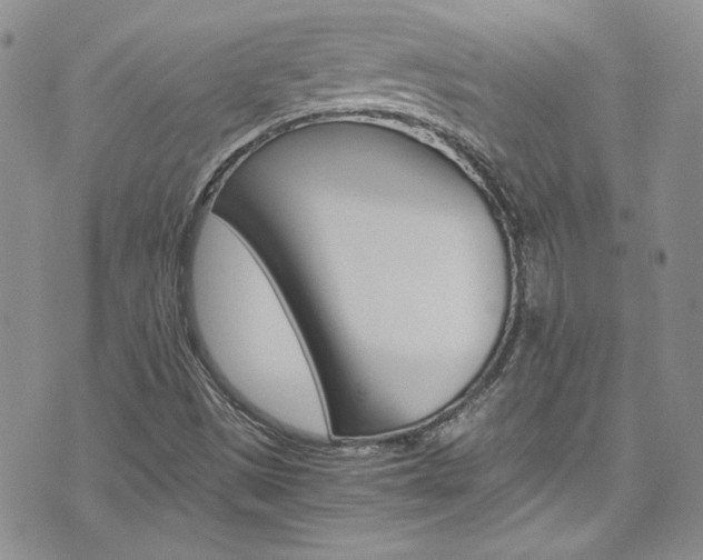 X0000075861497200609150942