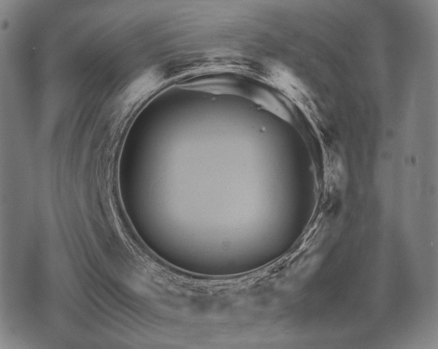 X0000075860001200609151238