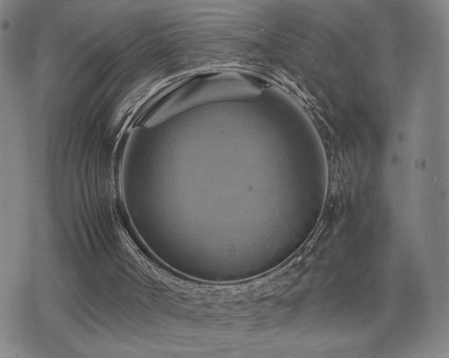 X0000075860002200609151238