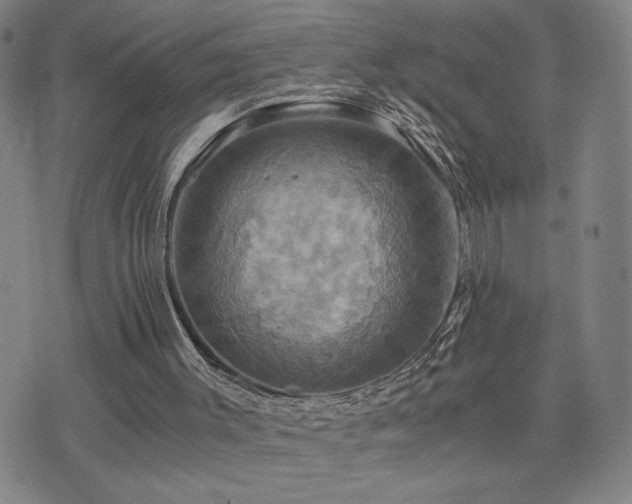 X0000075860003200609151238