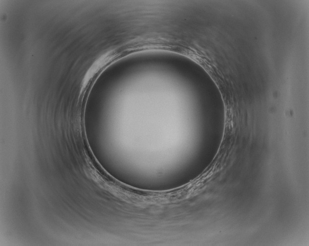 X0000075860004200609151238