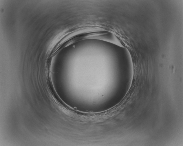 X0000075860005200609151238