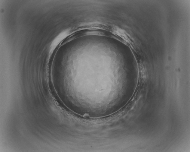 X0000075860006200609151238