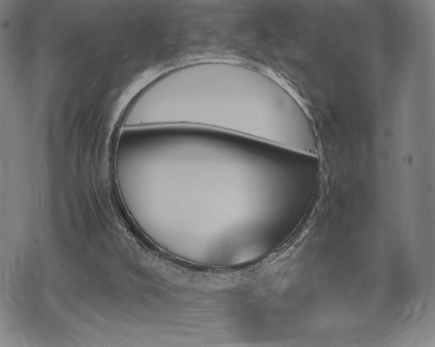 X0000075860008200609151237