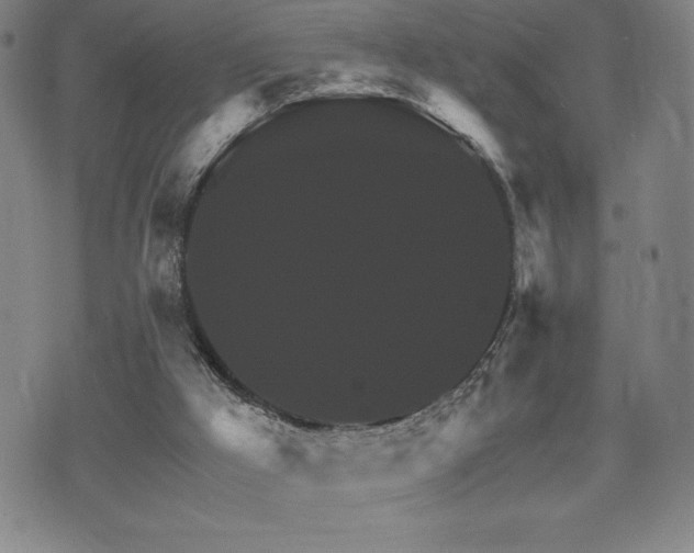 X0000075860009200609151237