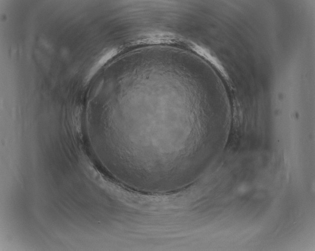 X0000075860010200609151237