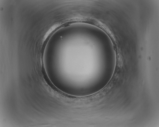 X0000075860011200609151237