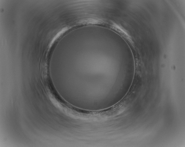 X0000075860012200609151237