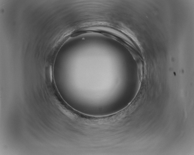 X0000075860013200609151237