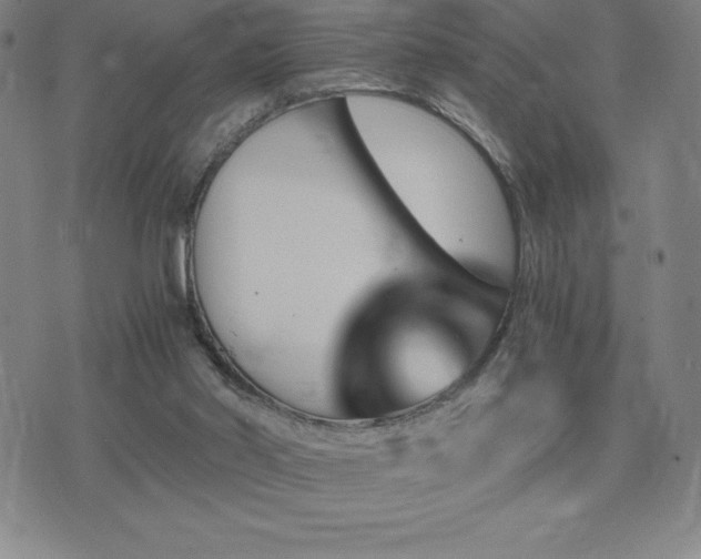 X0000075860014200609151237