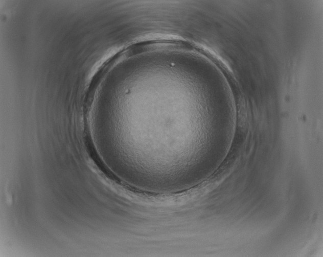 X0000075860015200609151237