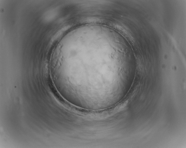 X0000075860016200609151237