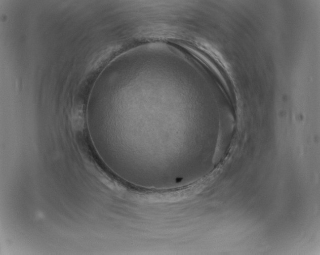 X0000075860017200609151237