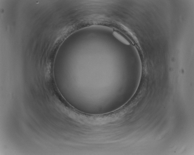 X0000075860018200609151237