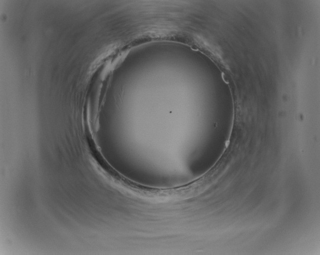 X0000075860019200609151237