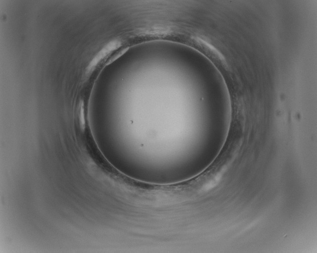 X0000075860020200609151237