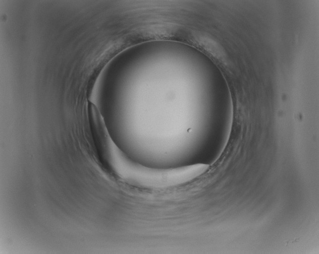 X0000075860021200609151237