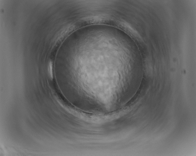 X0000075860022200609151237