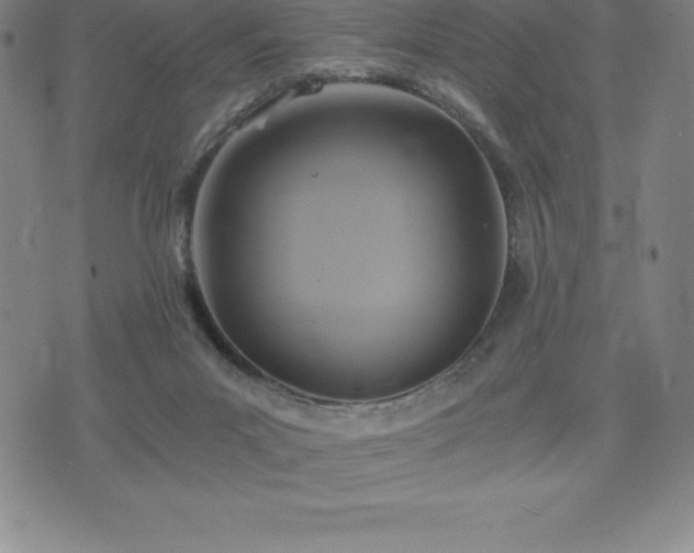 X0000075860023200609151237