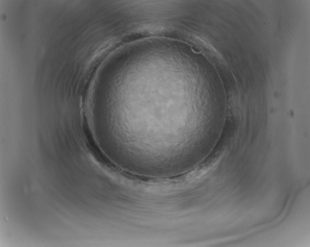 X0000075860024200609151237