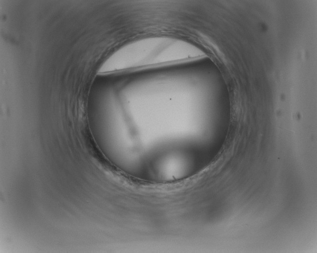 X0000075860025200609151237