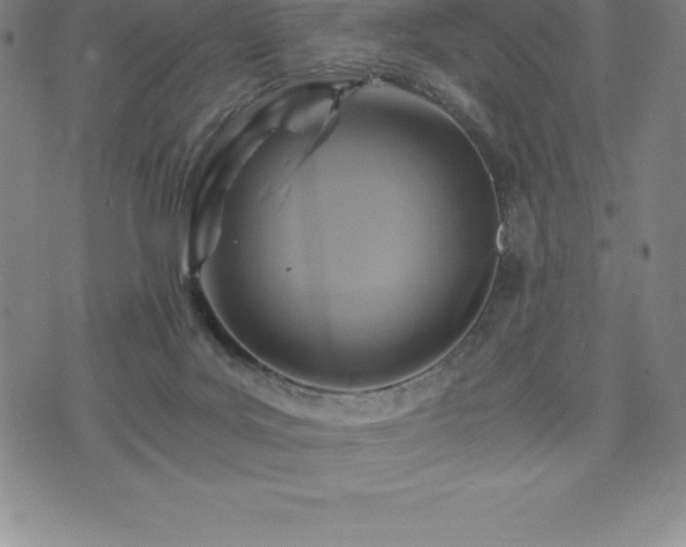 X0000075860027200609151237