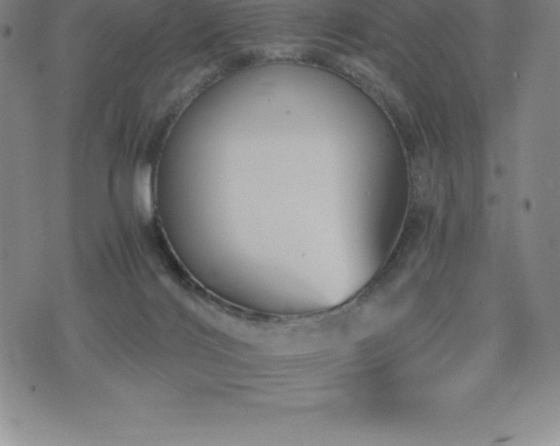 X0000075860028200609151237