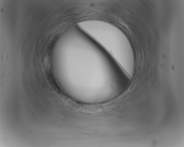 X0000075860029200609151237