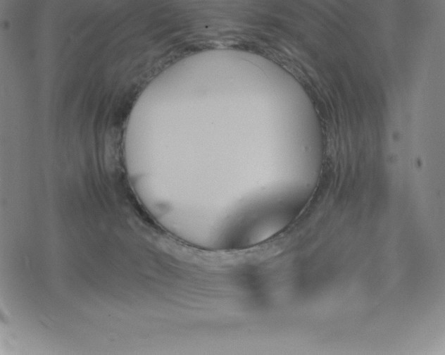 X0000075860030200609151237