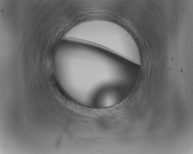 X0000075860031200609151237