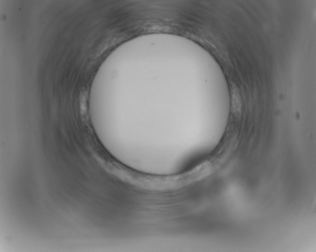 X0000075860032200609151237