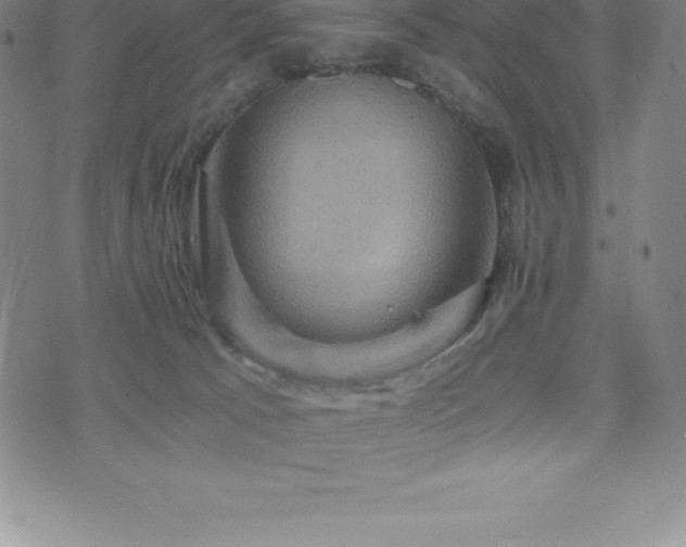 X0000075860033200609151237