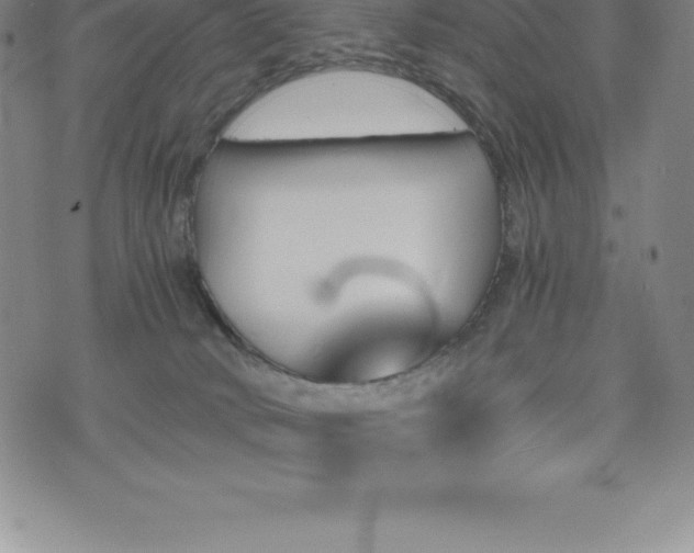 X0000075860034200609151237