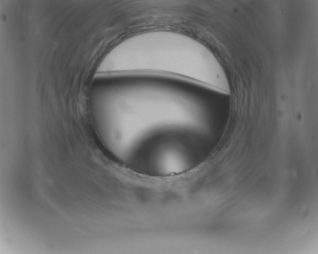 X0000075860035200609151237