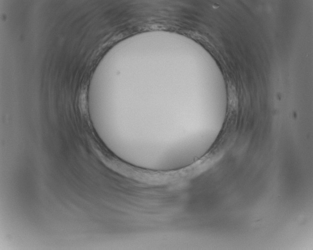 X0000075860036200609151237