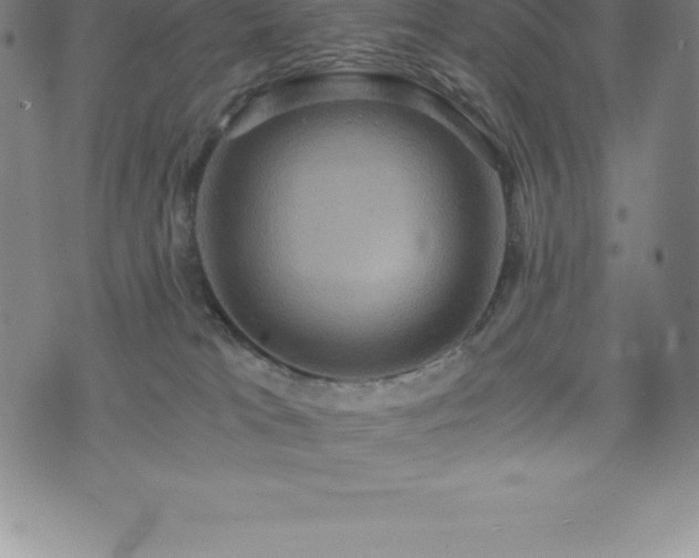 X0000075860037200609151237