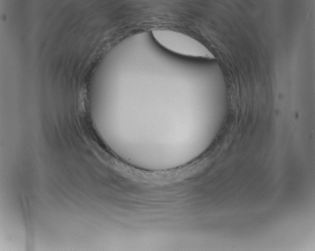 X0000075860038200609151237