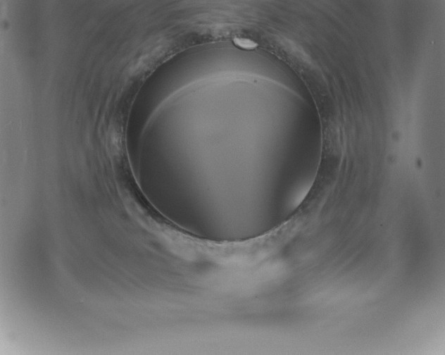 X0000075860039200609151237