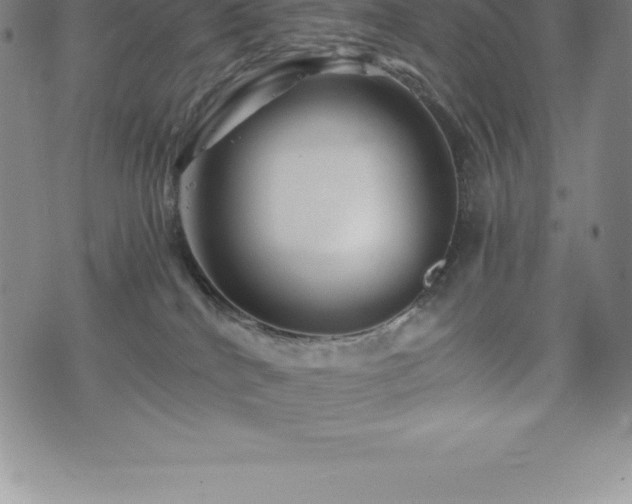 X0000075860040200609151237