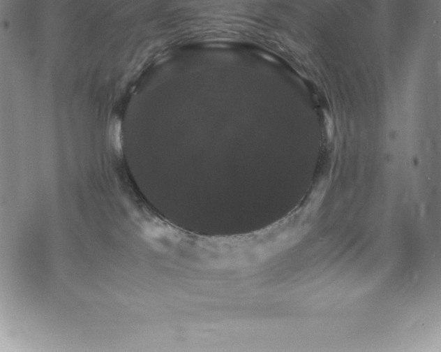 X0000075860041200609151237