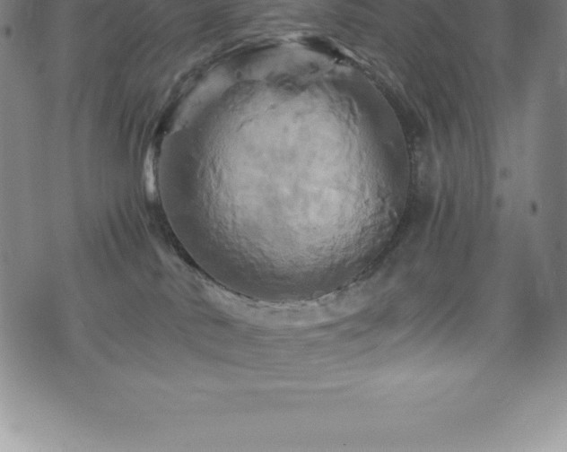 X0000075860042200609151237