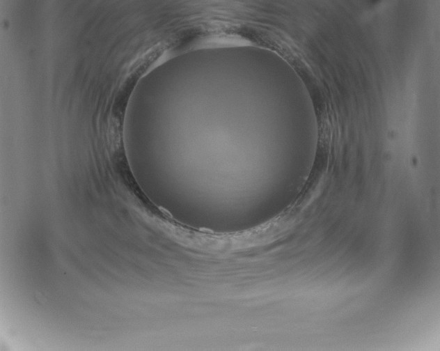 X0000075860043200609151237