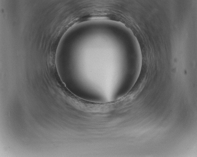 X0000075860044200609151237