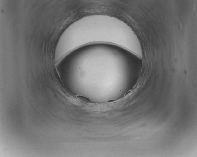 X0000075860045200609151237