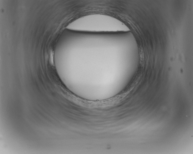 X0000075860046200609151237