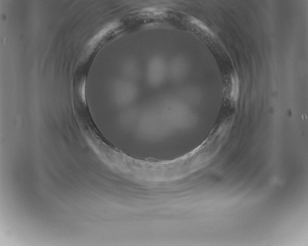 X0000075860047200609151237