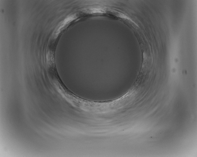 X0000075860048200609151237