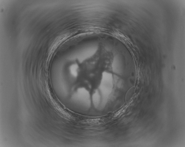 X0000075860049200609151236